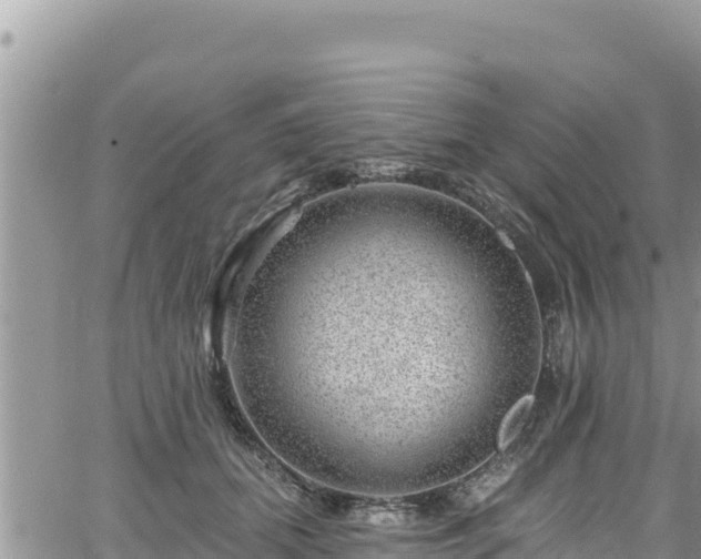 X0000065260655200602211251