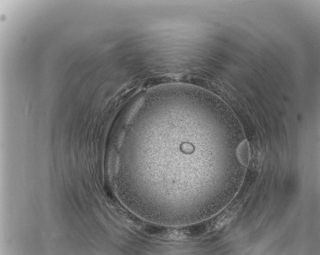 X0000065260656200602211251