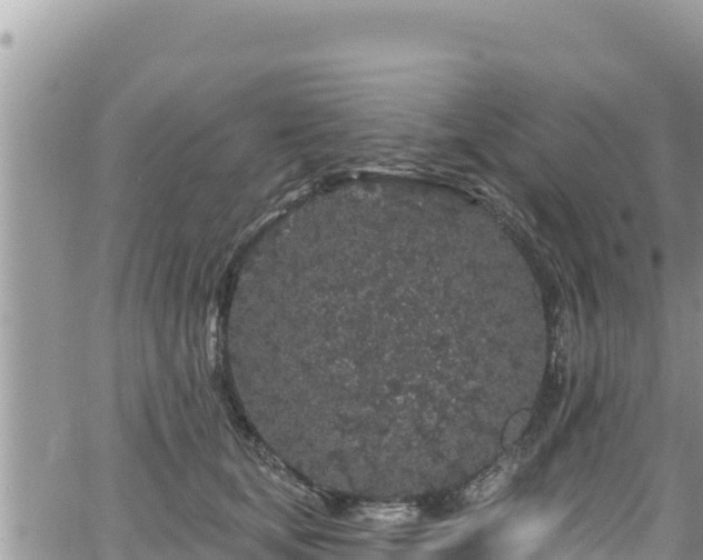 X0000065260659200602211251