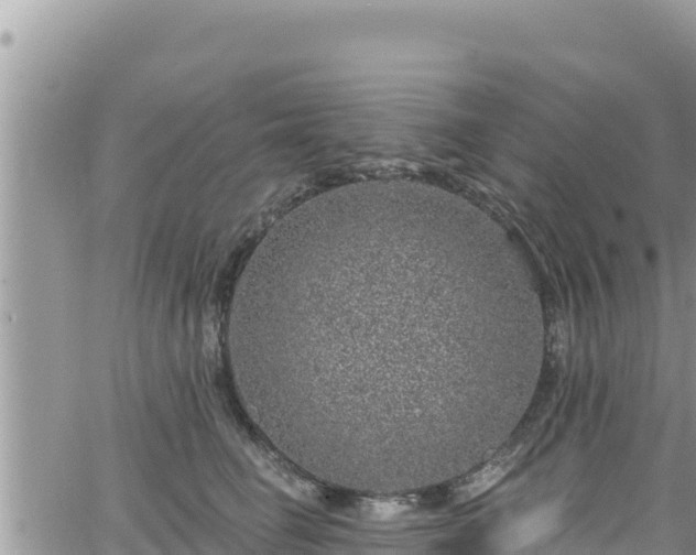 X0000065260662200602211251