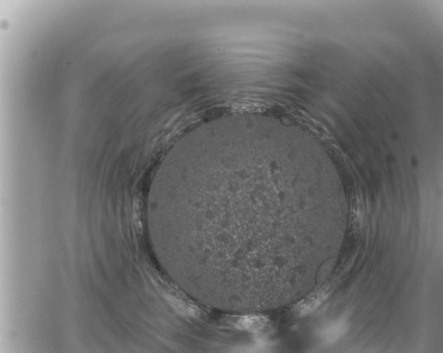 X0000065260663200602211251