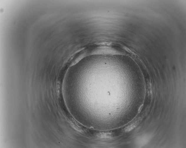 X0000065260664200602211251