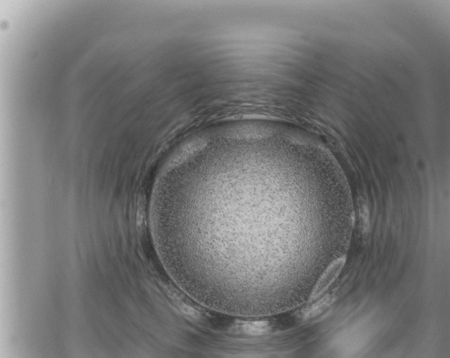 X0000065260665200602211251