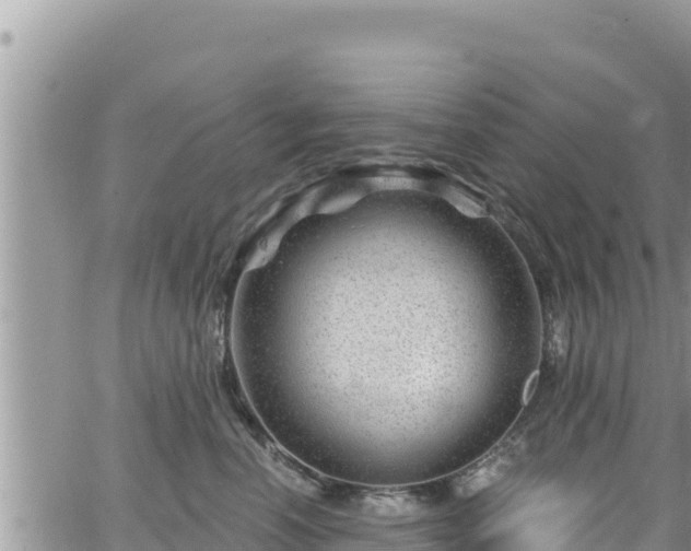 X0000065260666200602211251