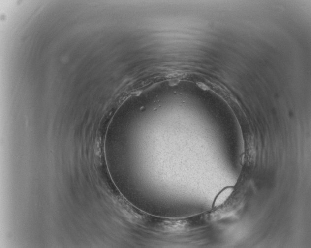 X0000065260667200602211251