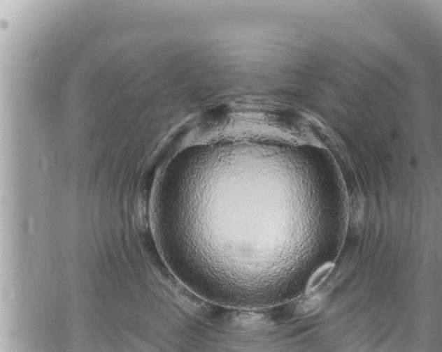 X0000065260669200602211251