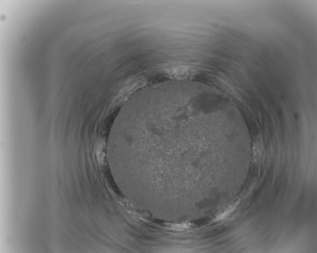 X0000065260671200602211251