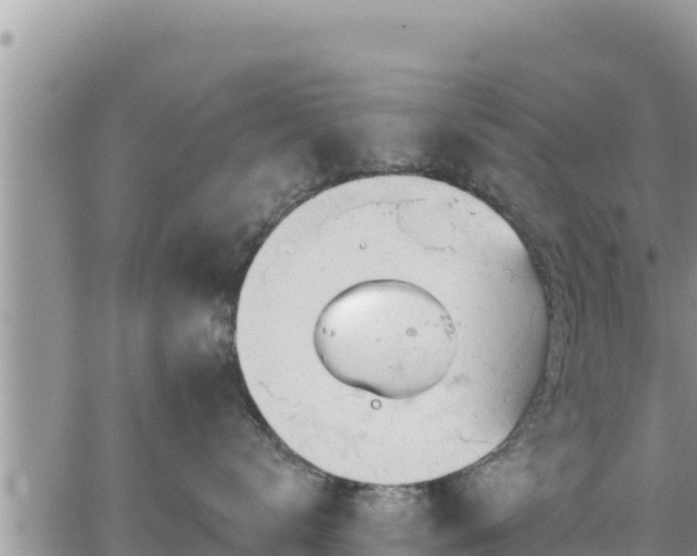 X0000065260672200602211251