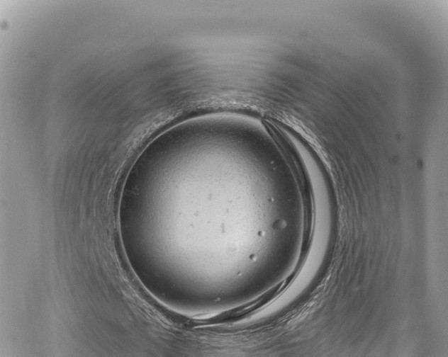 X0000065260673200602211250