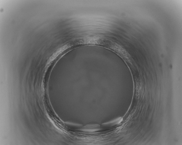 X0000065260674200602211250