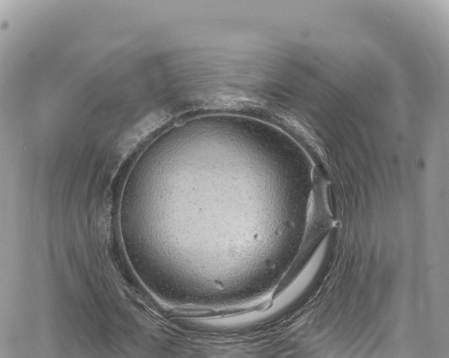 X0000065260675200602211250