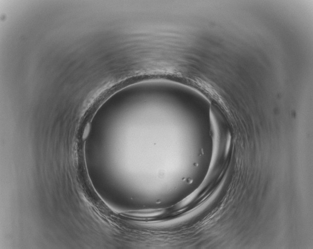 X0000065260676200602211250