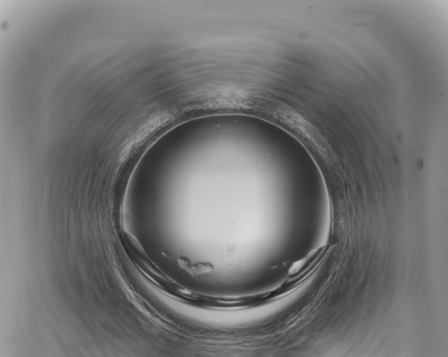 X0000065260677200602211250