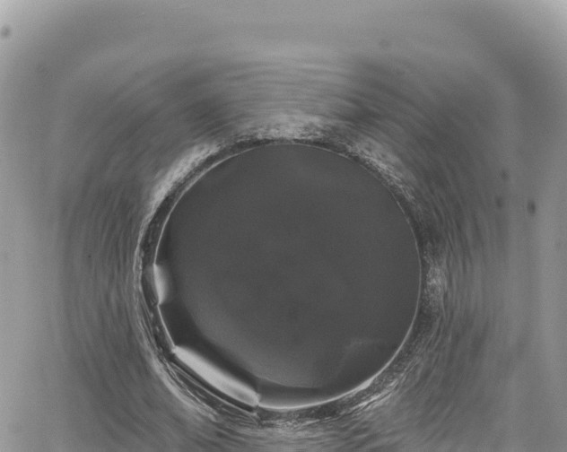 X0000065260678200602211250