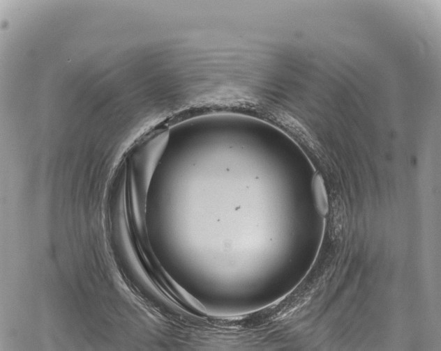 X0000065260680200602211250