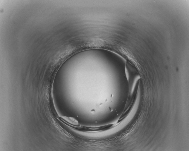 X0000065260681200602211250