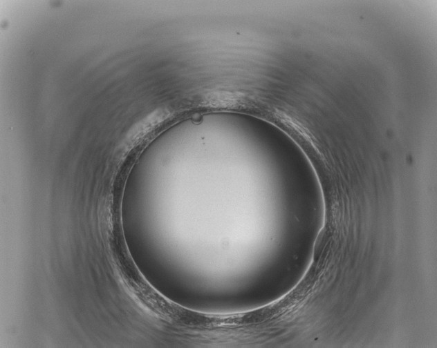 X0000065260682200602211250