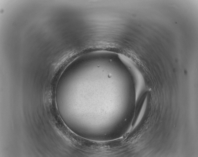 X0000065260683200602211250