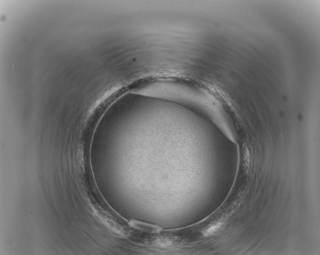 X0000065260684200602211250