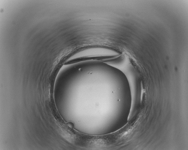 X0000065260685200602211250