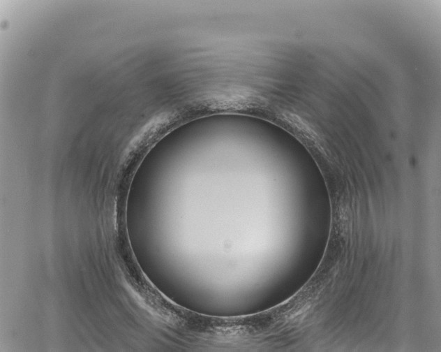 X0000065260686200602211250