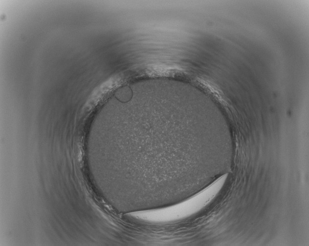 X0000065260687200602211250