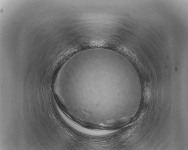 X0000065260689200602211250