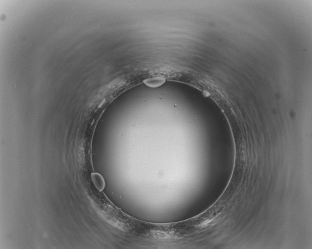 X0000065260690200602211250