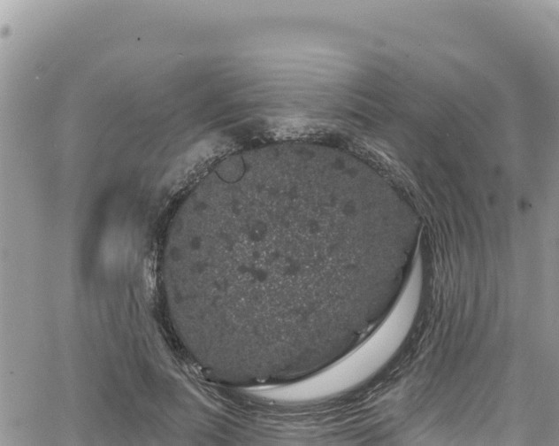 X0000065260691200602211250