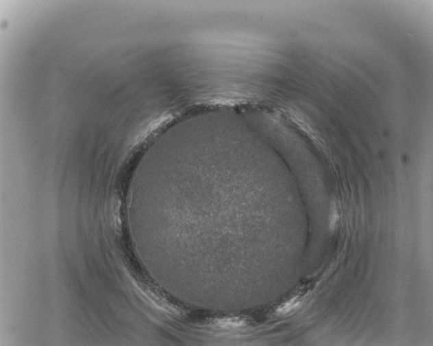 X0000065260692200602211250