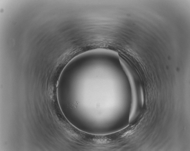 X0000065260693200602211250