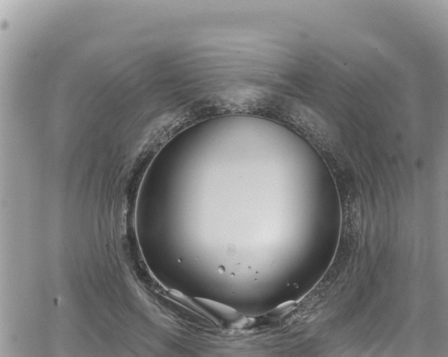 X0000065260694200602211250