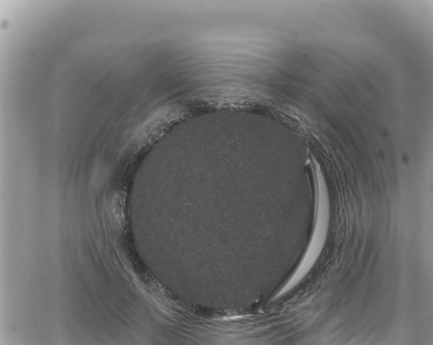 X0000065260695200602211250