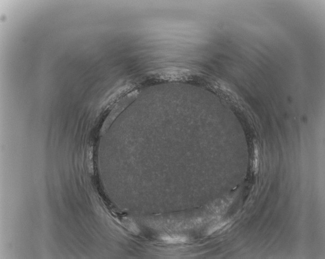 X0000065260696200602211250