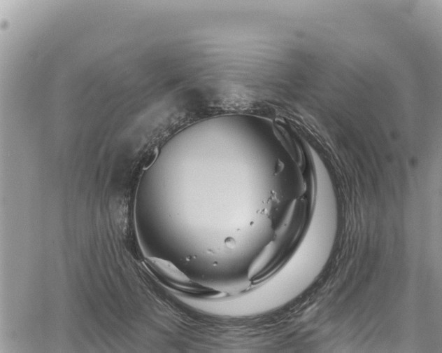 X0000065260697200602211250