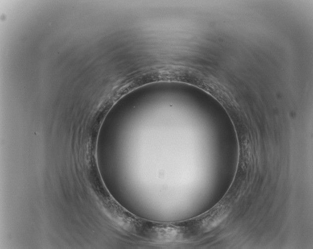 X0000065260698200602211250