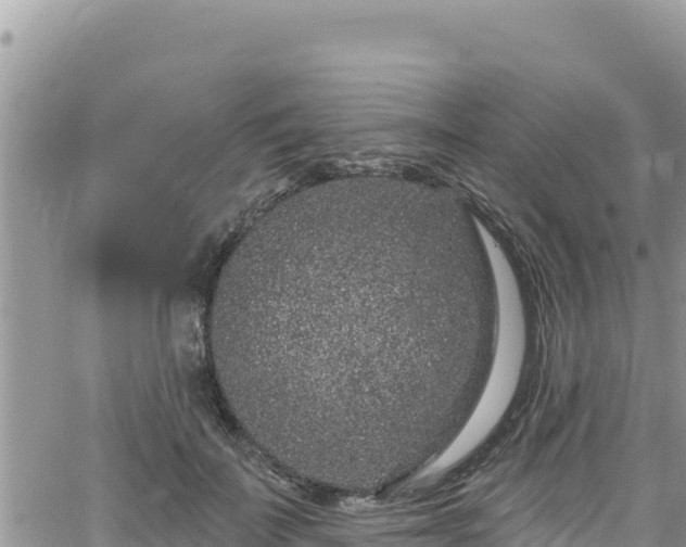 X0000065260699200602211250