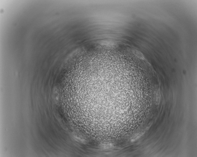 X0000065260701200602211250