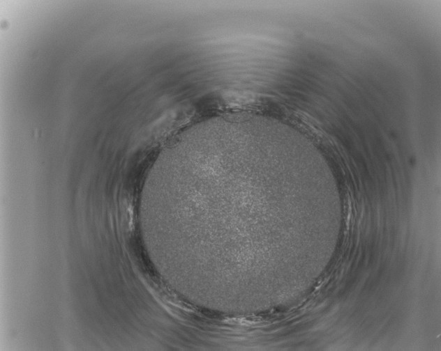 X0000065260703200602211250