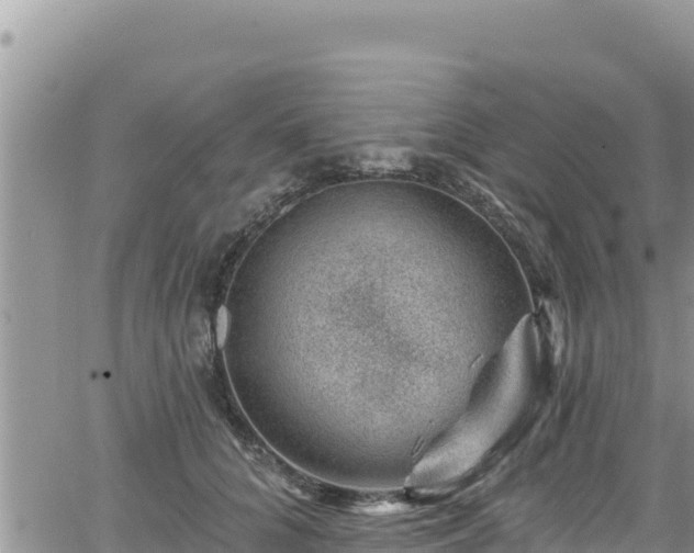 X0000065260704200602211250