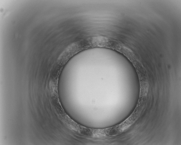 X0000065260705200602211250