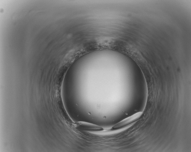 X0000065260706200602211250