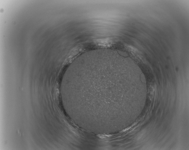 X0000065260707200602211250