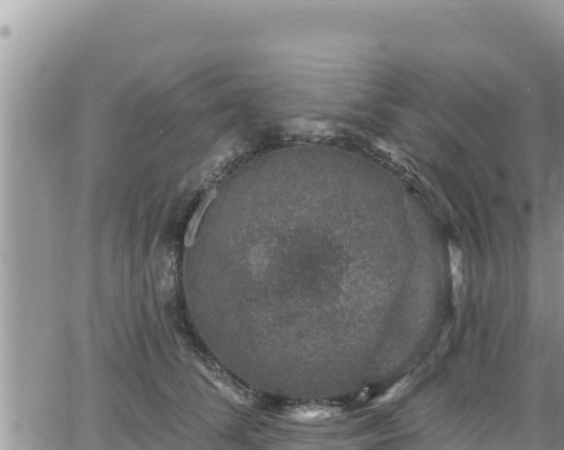 X0000065260708200602211250