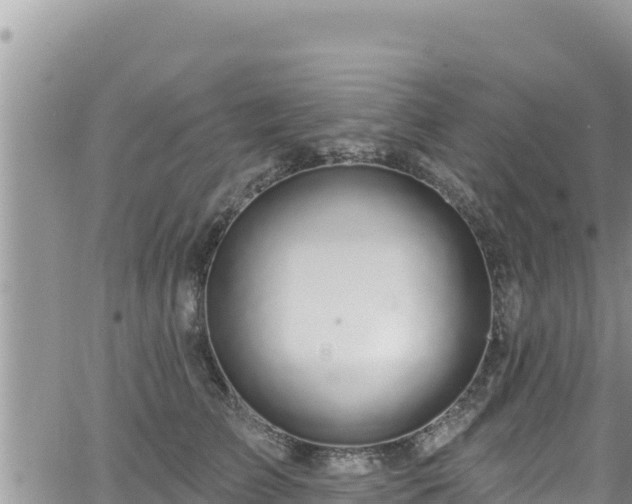 X0000065260709200602211250