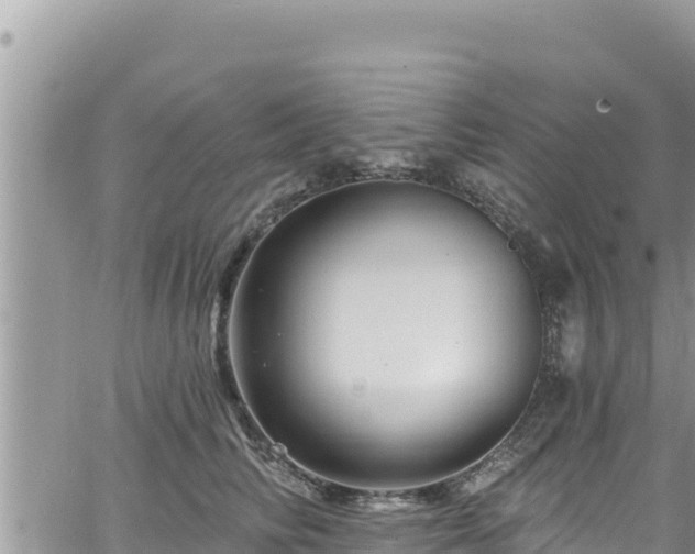 X0000065260710200602211250