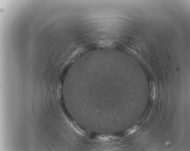 X0000065260712200602211250