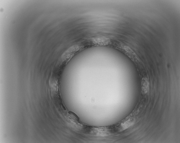 X0000065260713200602211250