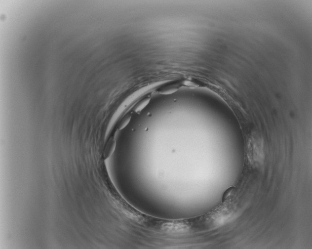 X0000065260714200602211250