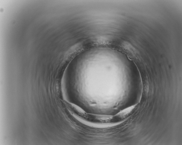 X0000065260715200602211250